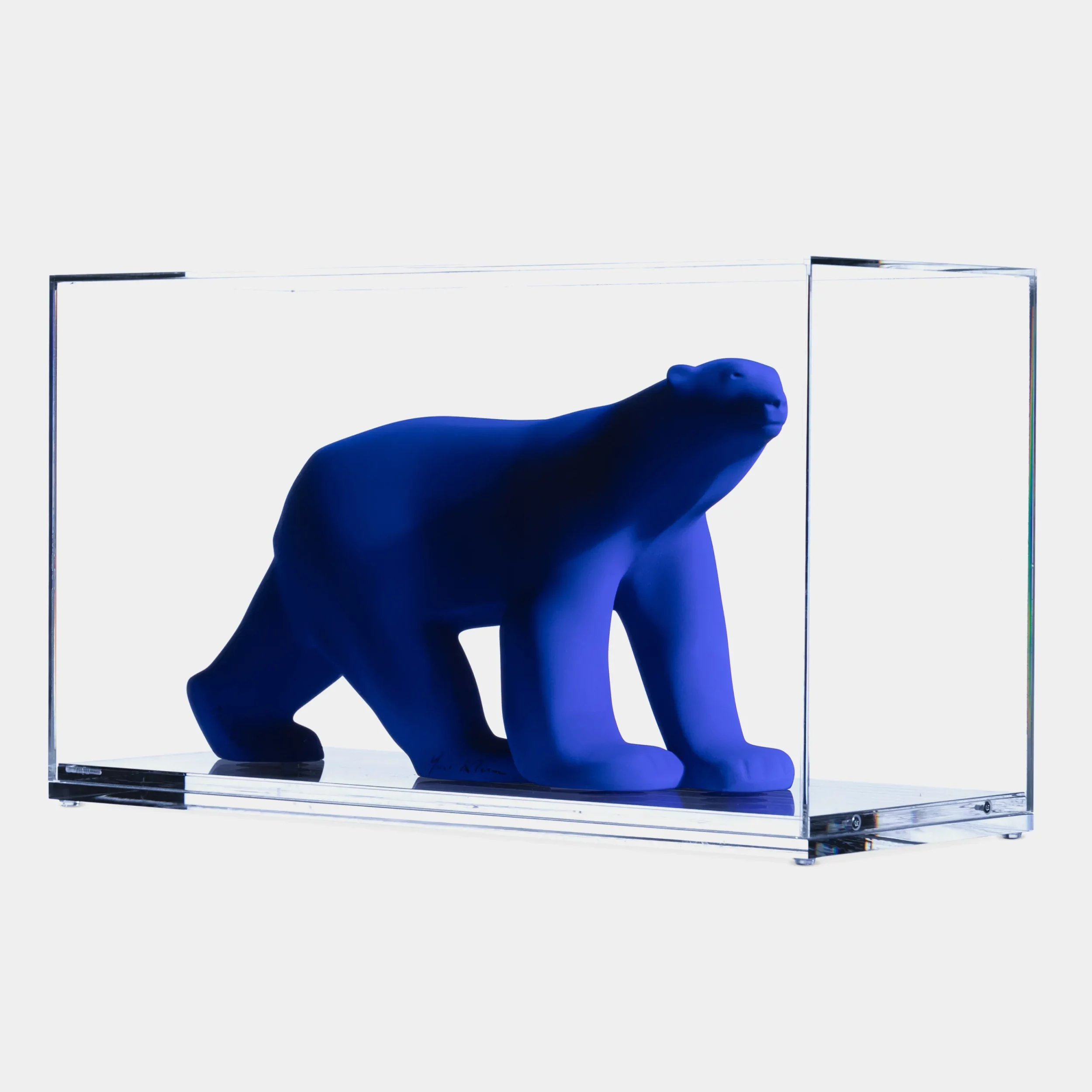L'ours Pompon édition Yves Klein vue de trois quart face dans son écrin en plexiglass