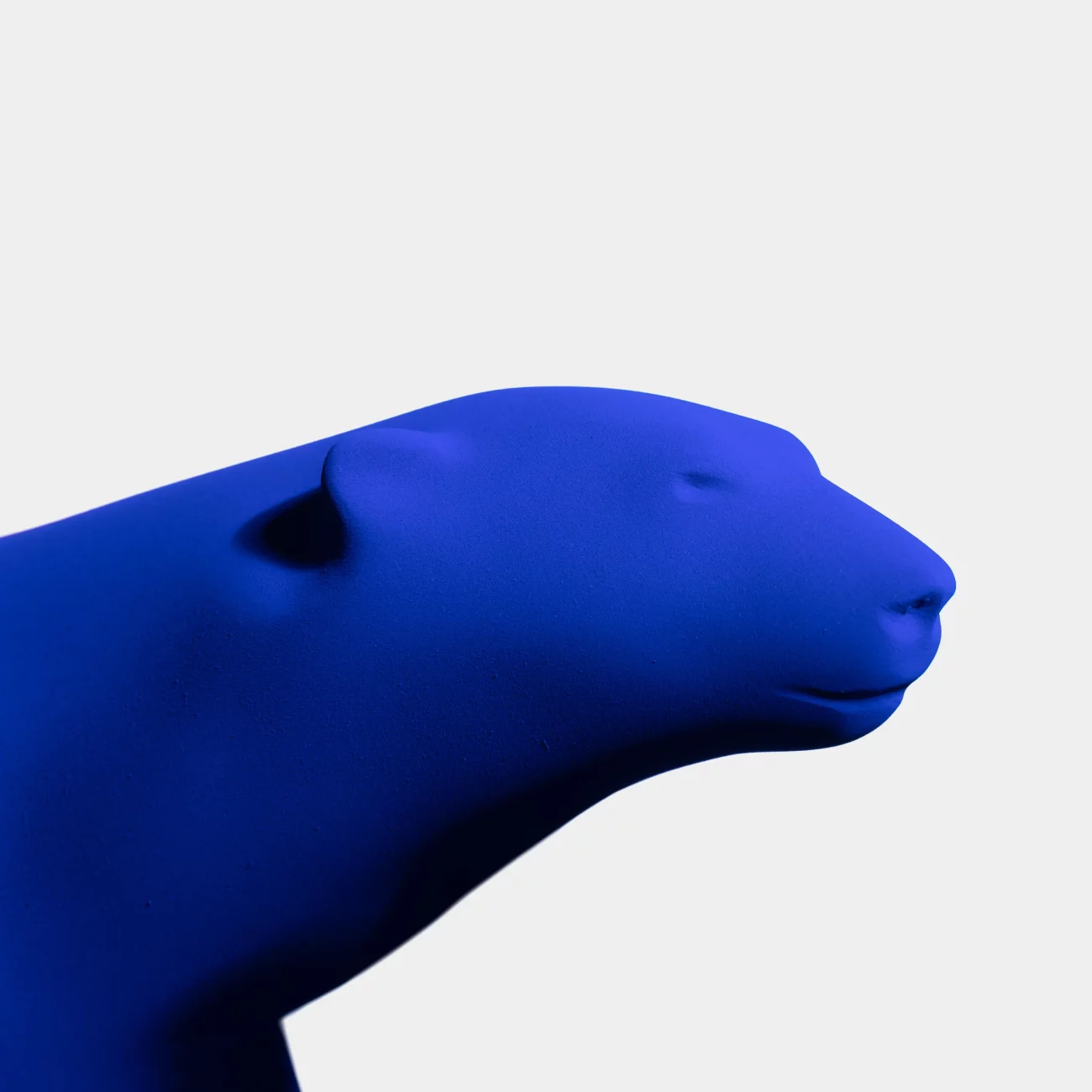 zoom sur la tête de l'ours Pompon édition Yves Klein