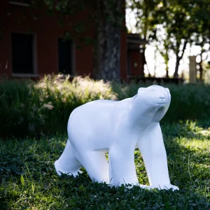 L’Ours blanc éditions XL
